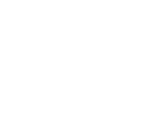 24-10-07_sbt_logo_white